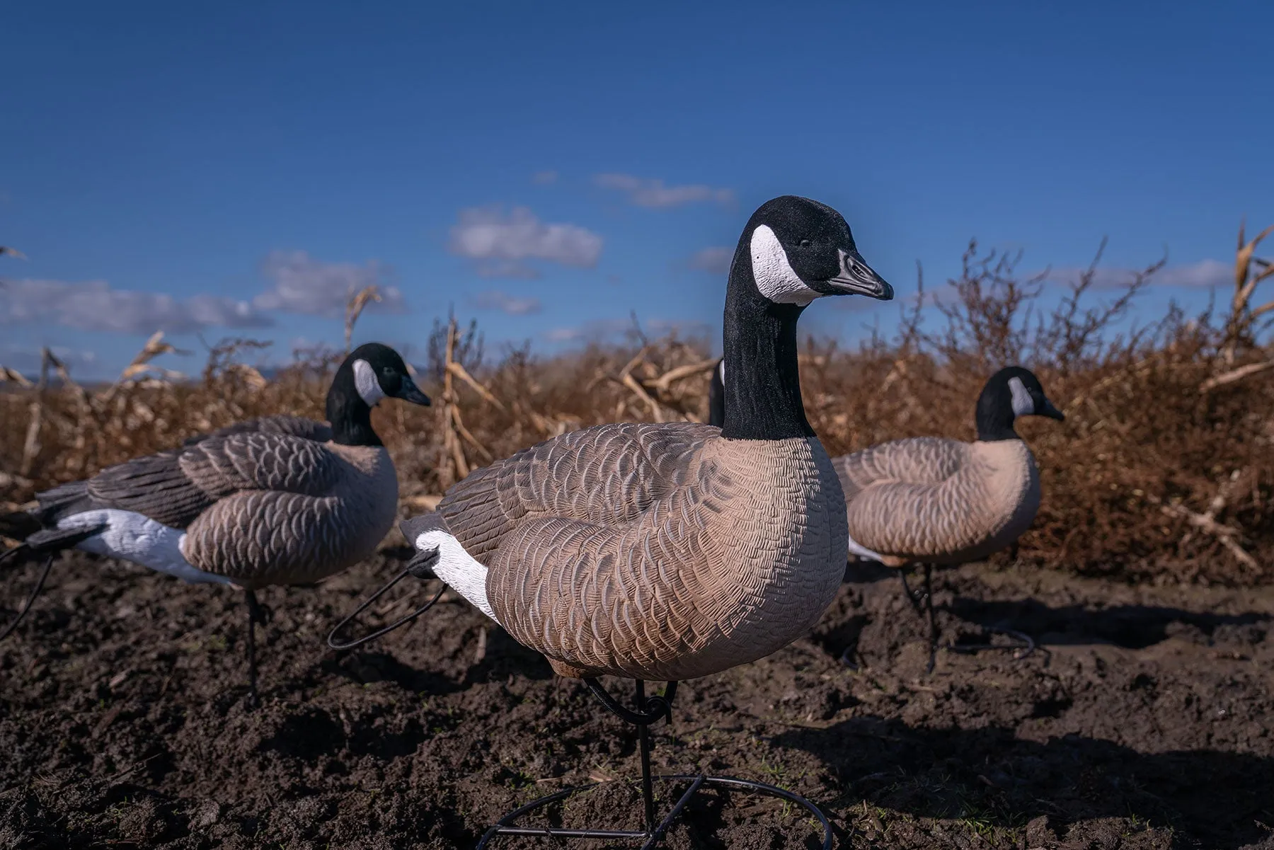 Flight Full Body Canada Goose Uprights