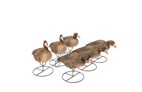 Flight Series Full Body Specklebelly Goose Decoys