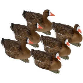 Flight Specklebelly Floater Decoys