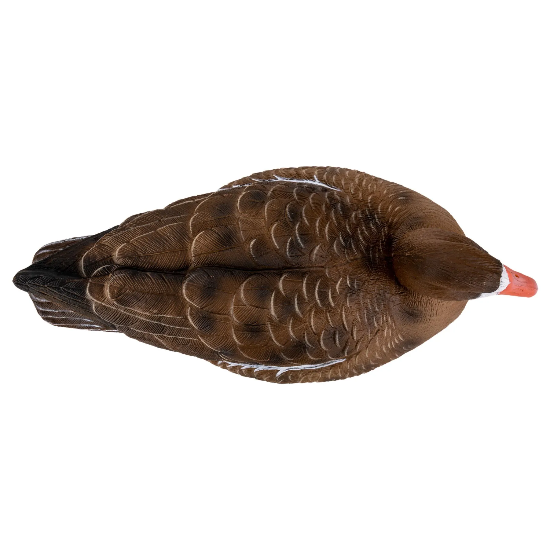 Flight Specklebelly Floater Decoys