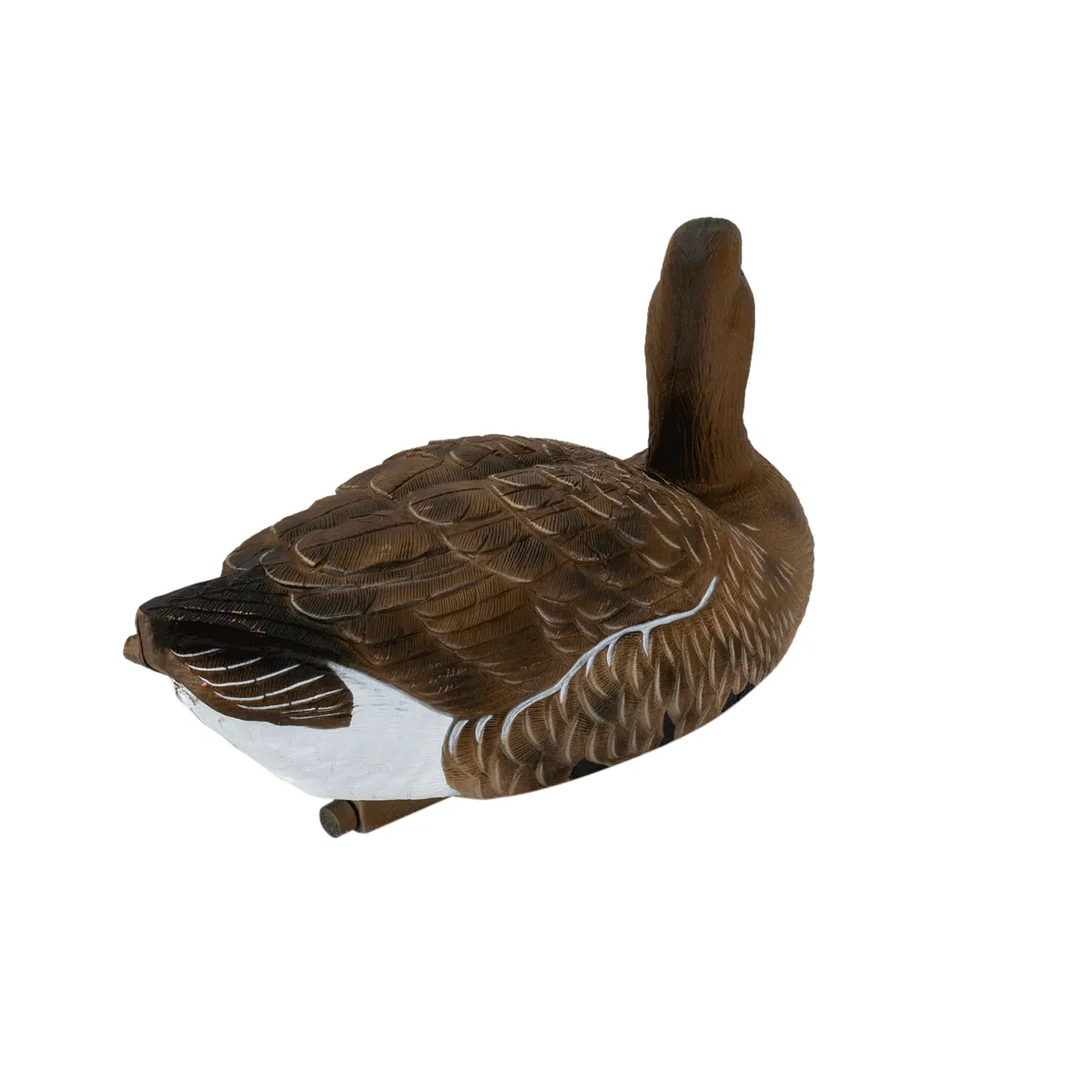 Flight Specklebelly Floater Decoys