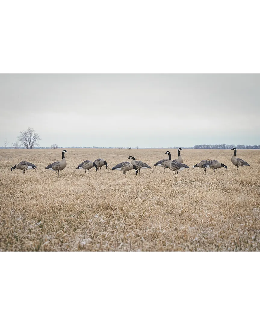 GHG Pro Flex Full Body Goose Decoy - Honker Harvester Pack