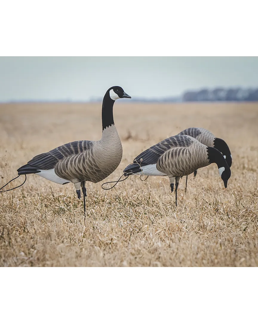 GHG Pro Flex Full Body Goose Decoy - Honker Harvester Pack