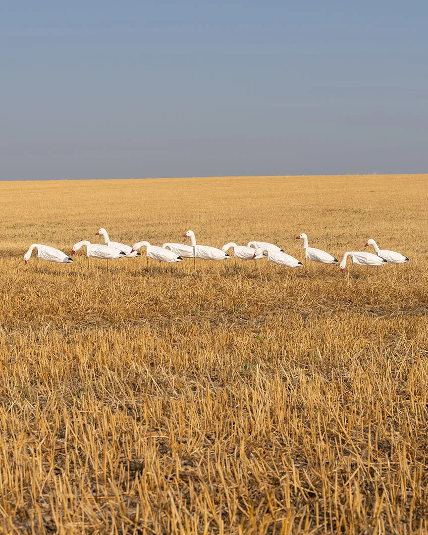 GHG Pro Grade 3D Head Windsock Decoys