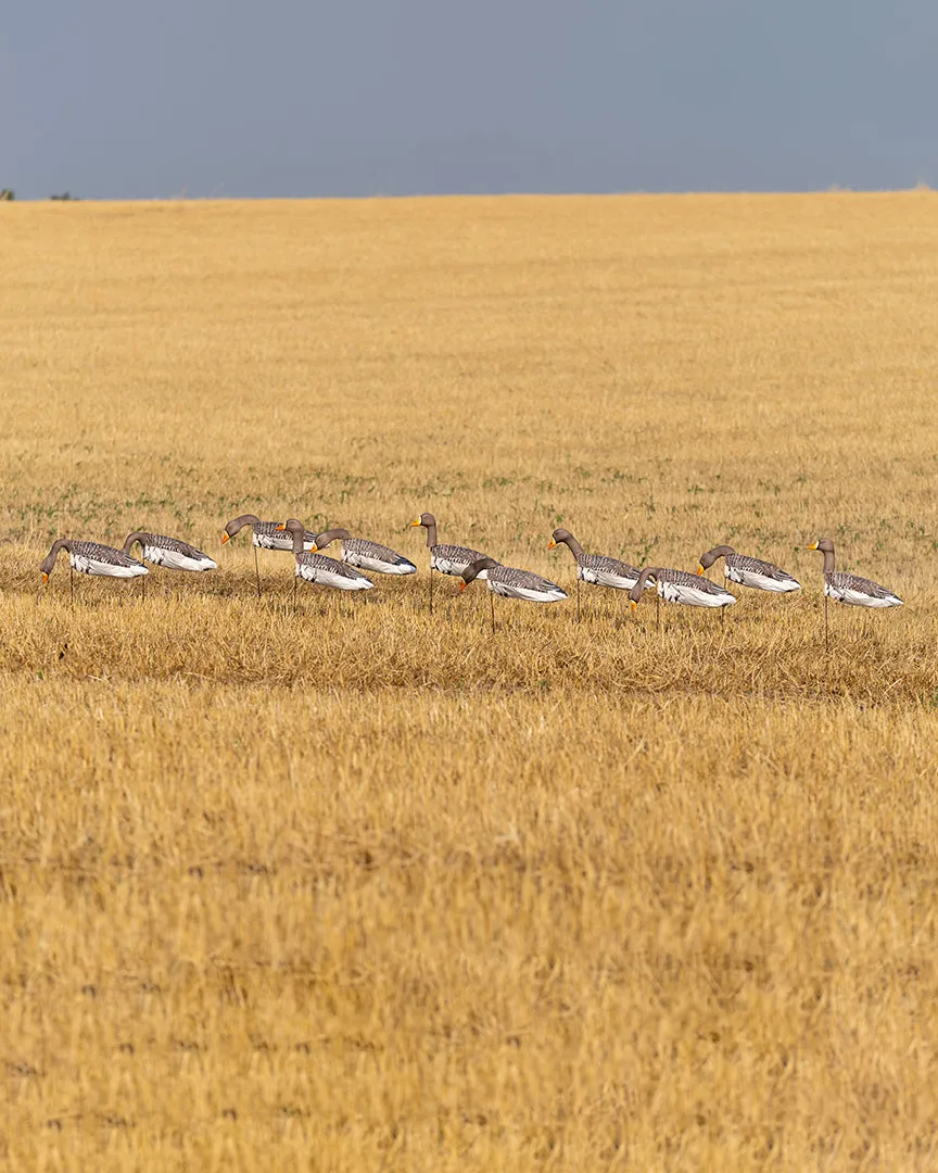 GHG Pro Grade 3D Head Windsock Decoys