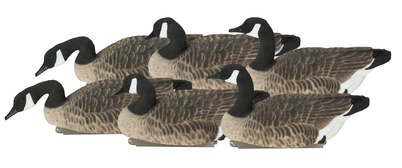 GHG Pro-Grade XD Canada Floater Decoys - Harvester Pack