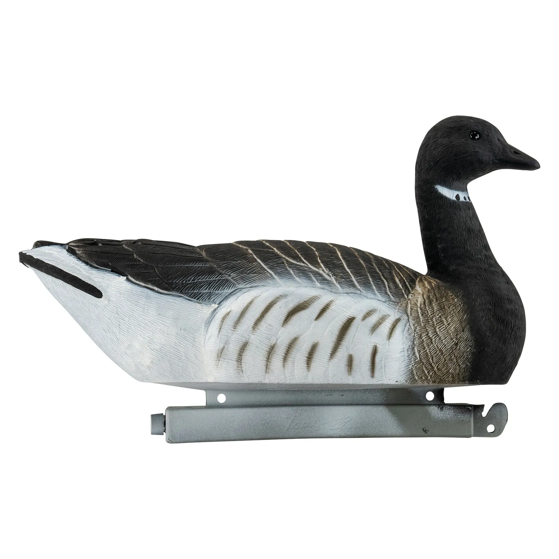 Migration Edition Brant Goose