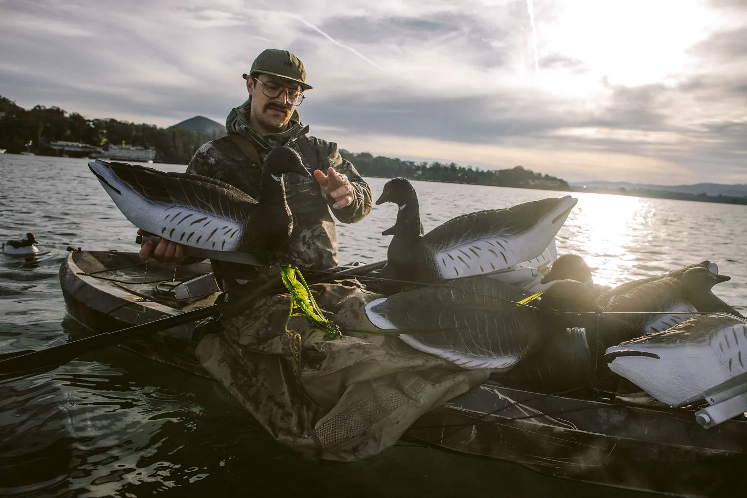 Migration Edition Brant Goose