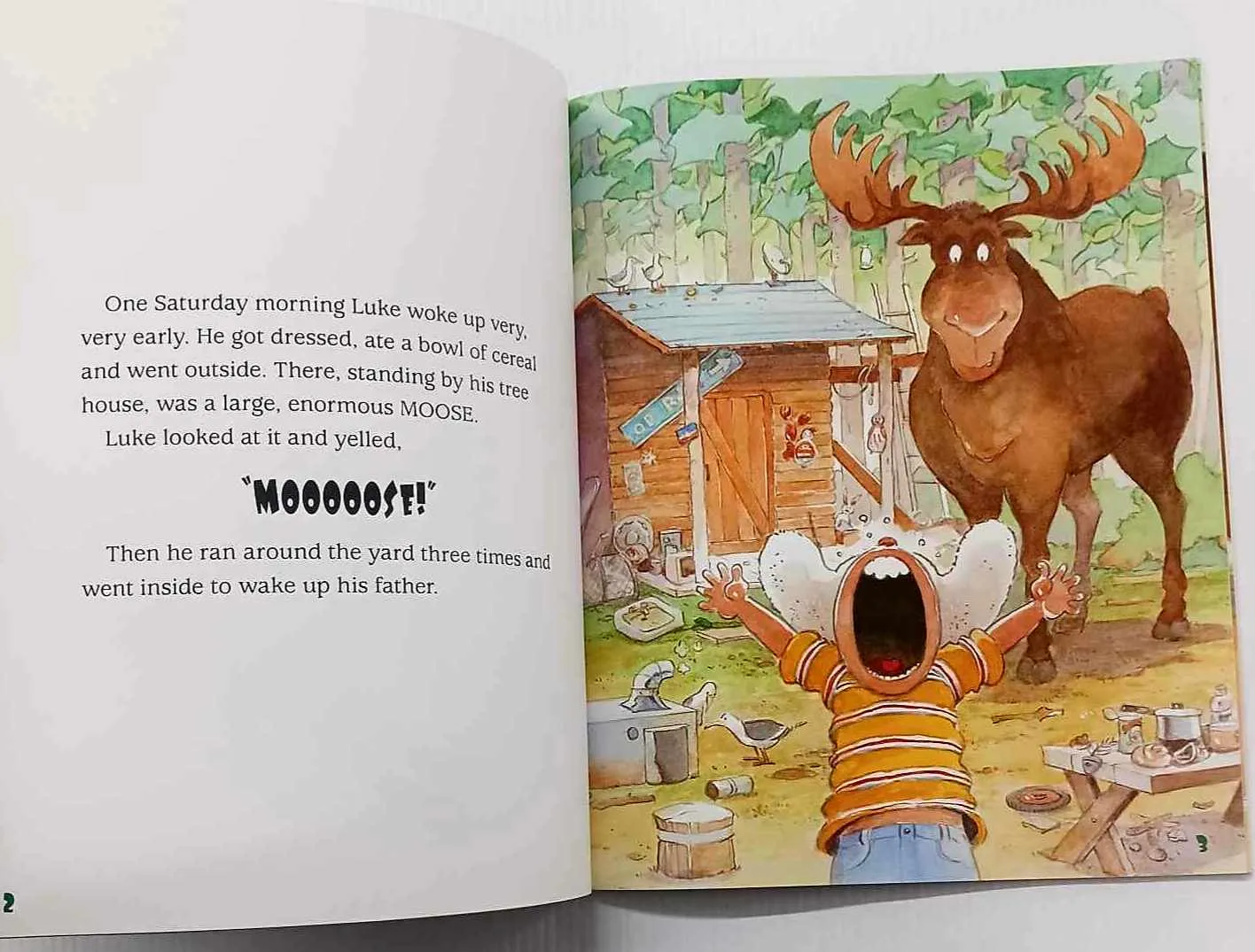 MOOSE! - Robert Munsch