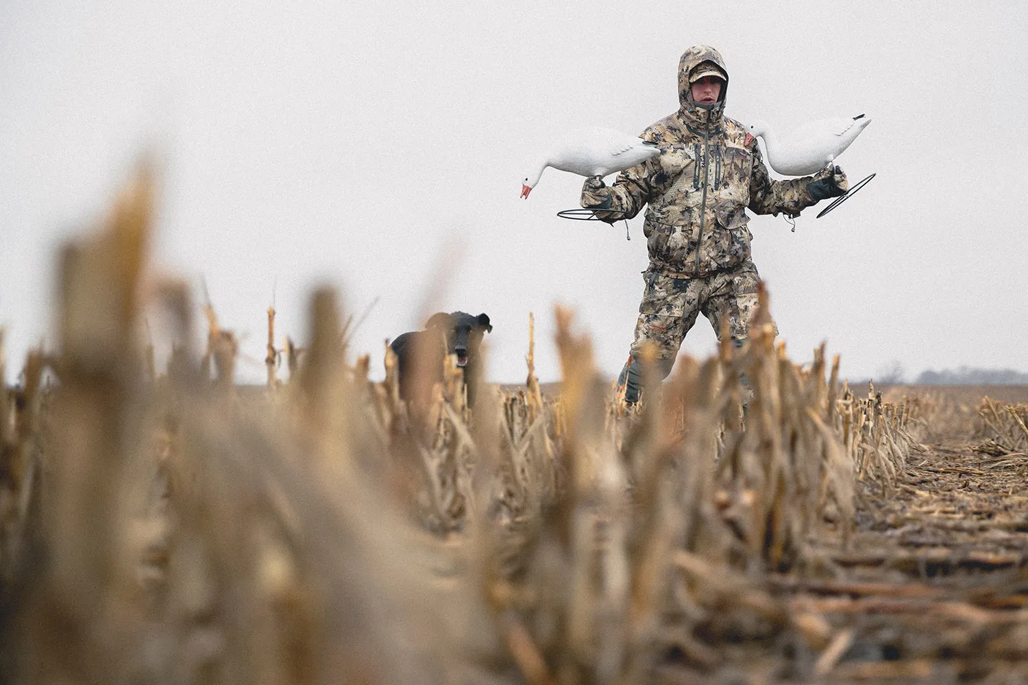 Pro Series Full Body Snow Goose Decoy Combo Pack