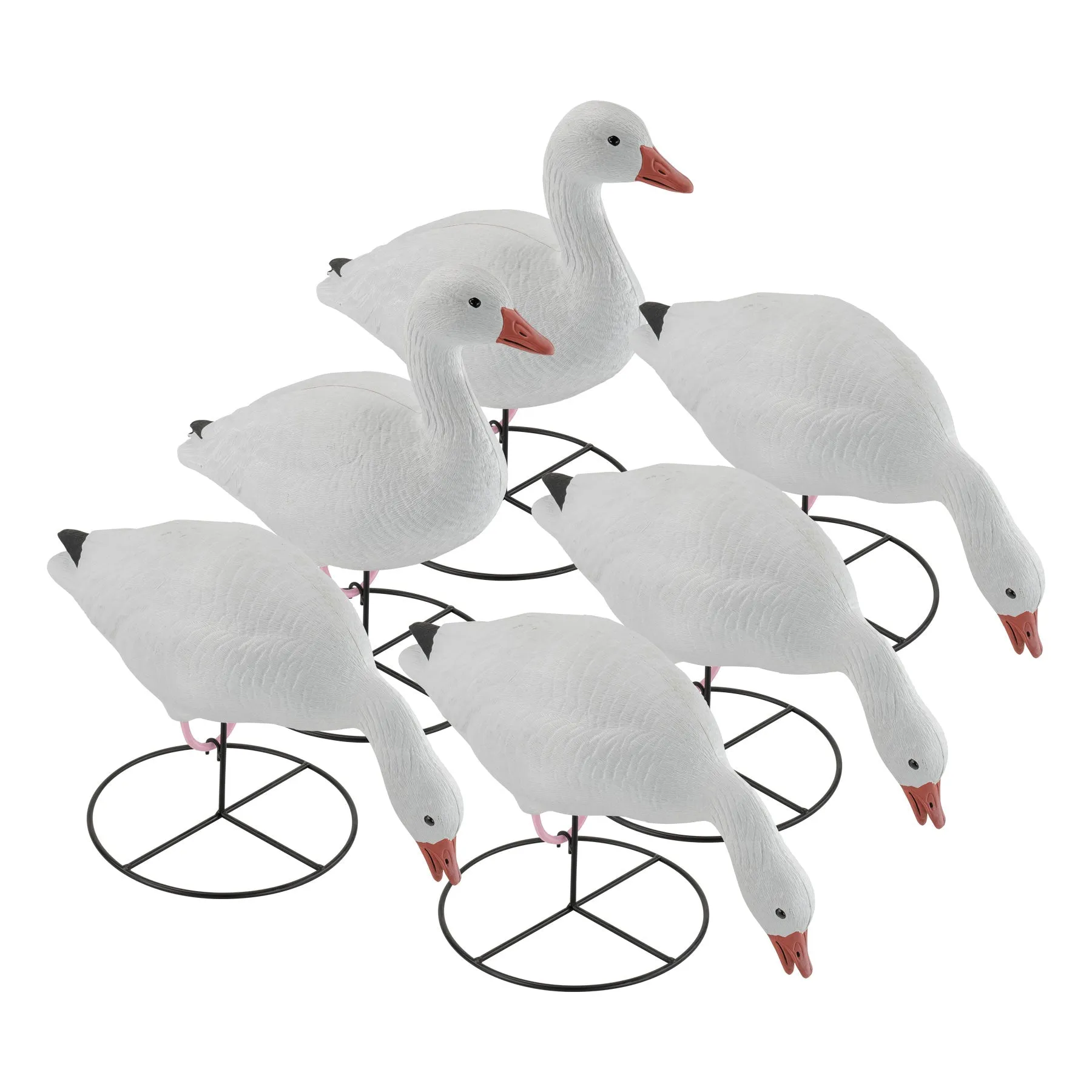 Pro Series Full Body Snow Goose Decoy Combo Pack