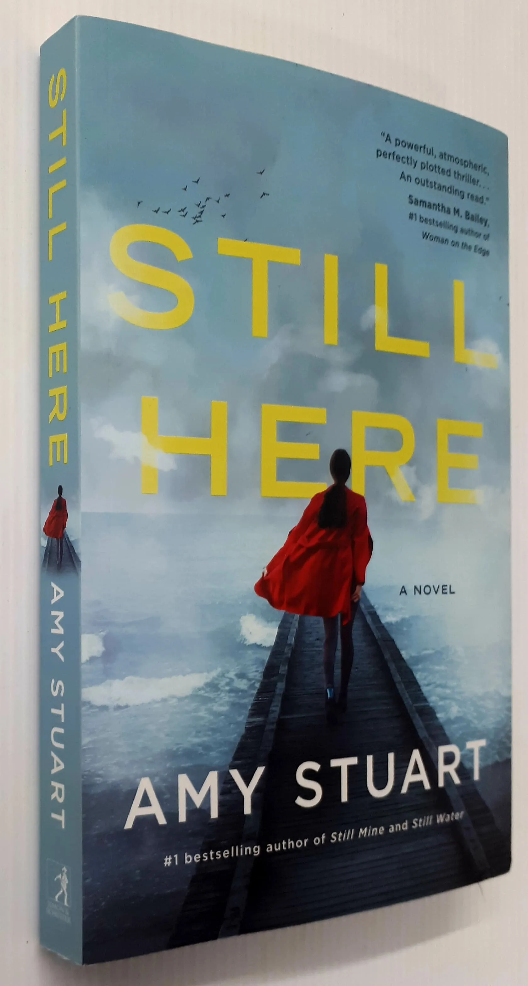 STILL HERE - Amy Stuart