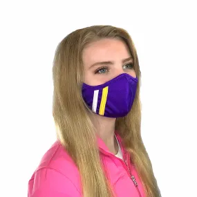 Team Stripe Face Mask