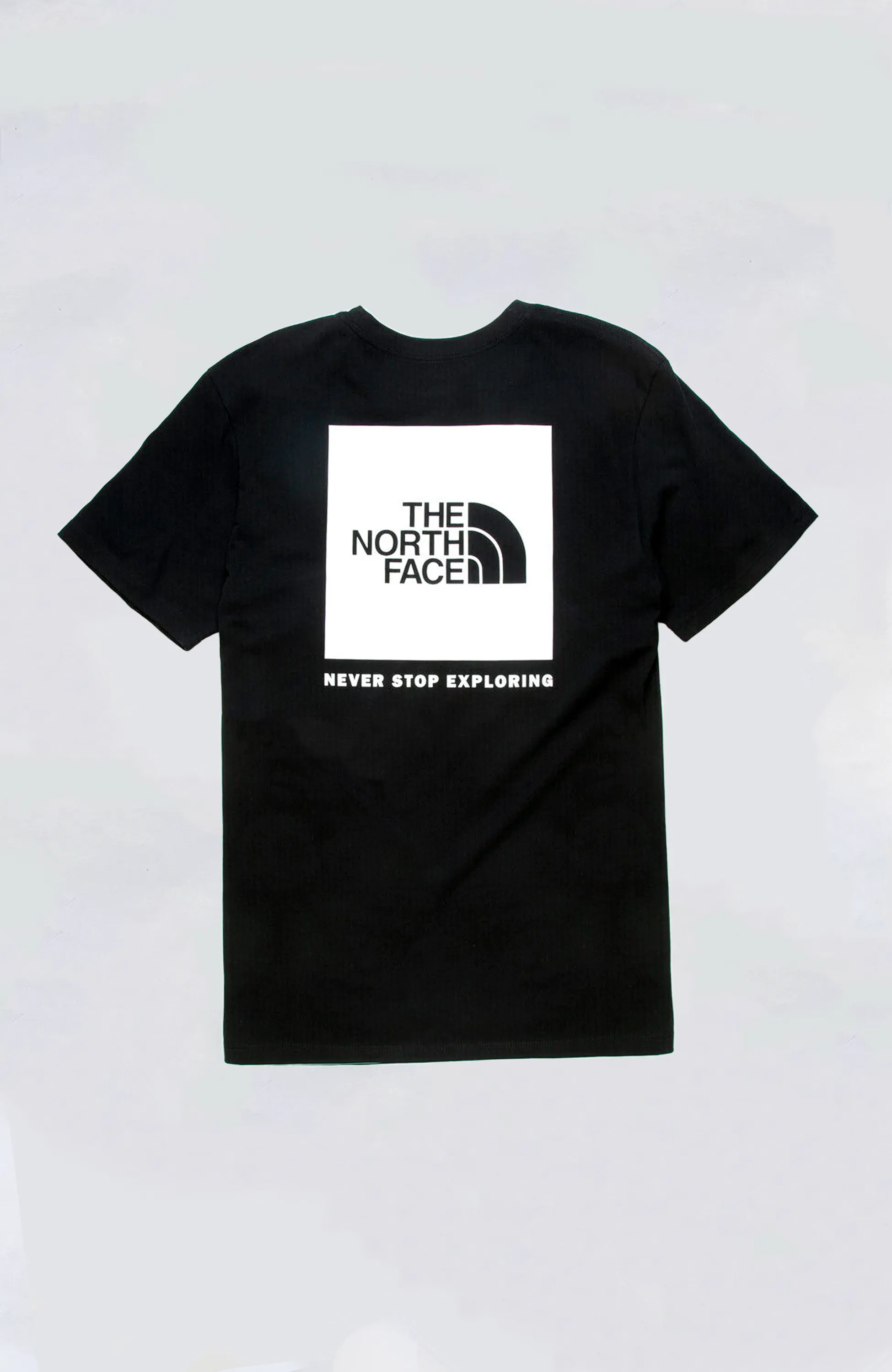 The North Face - Men's S/S Box NSE Tee